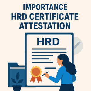 Illustration showing HRD certificate attestation process in India, highlighting the importance of academic document verification for overseas use